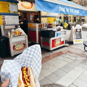Photo of Dog In The Park - Seattle, WA, United States