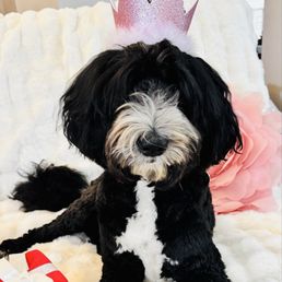Her Birthday pic a couple weeks after Omar gave her a summer cut! Her Birthday pic a couple weeks after Omar gave her a summer cut!