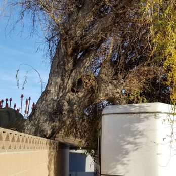 Jimmie's Tree Service - Tree Services Near Me Jimmie's Tree Service - Tree Services Near Me