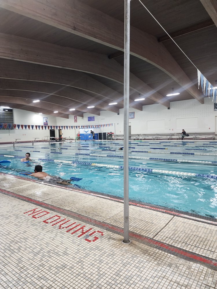 Mark's Swim Academy Logo
