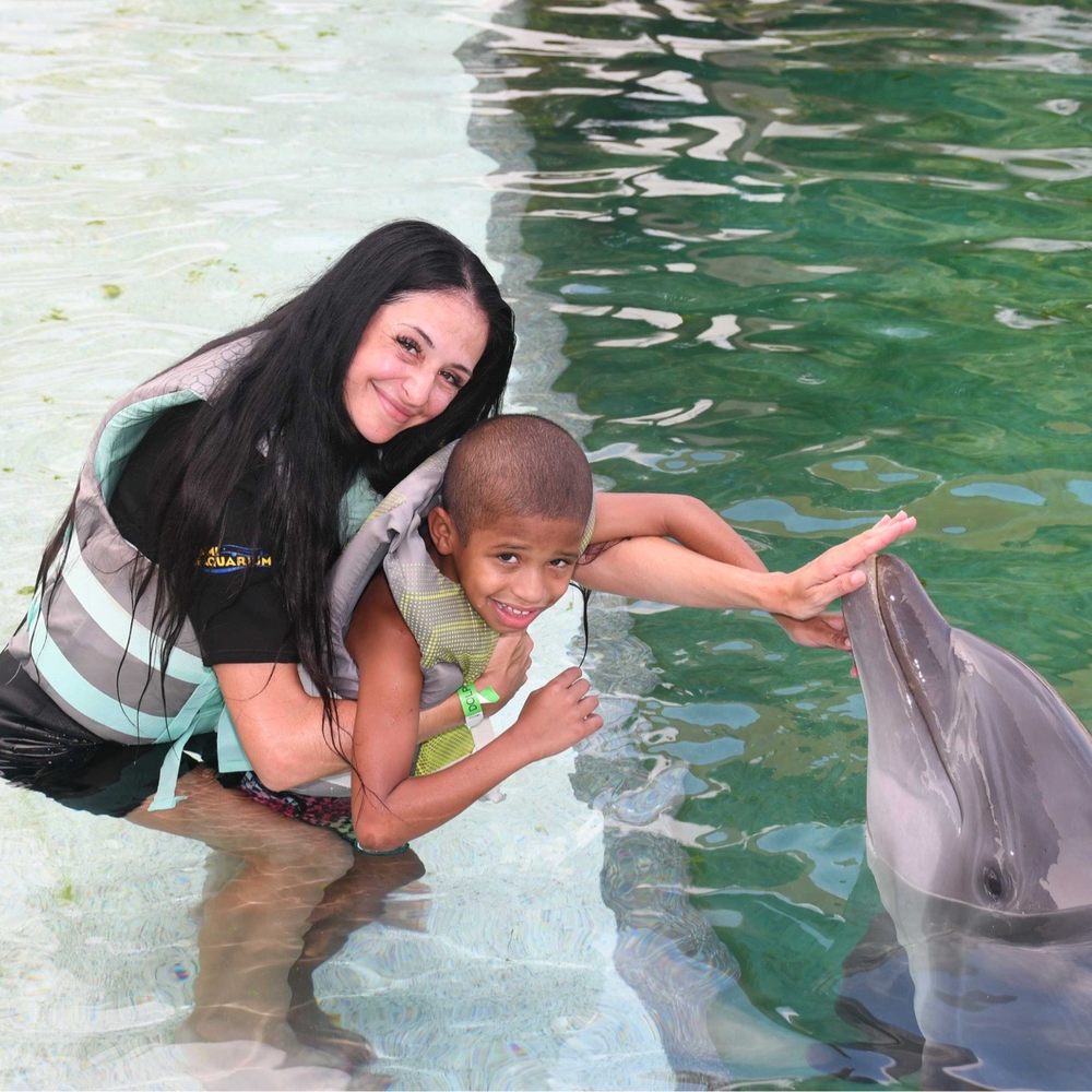 Miami Seaquarium - Dolphin experience autism friendly - Aquariums Near Me - Miami, Florida Miami Seaquarium - Dolphin experience autism friendly - Aquariums Near Me - Miami, Florida