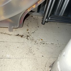Go Store It Self Storage - Poop everywhere!!!