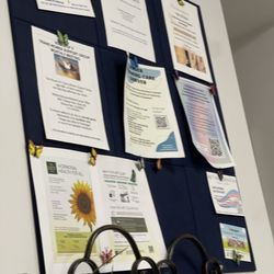 Metamorphosis Medical Center - News board
