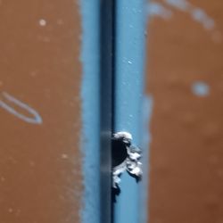 Action Safe & Lock Shop - Looks to me like someone scoped it to see where to drill the lock. Absolutely no trust.