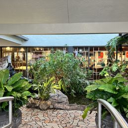a view of a tropical garden