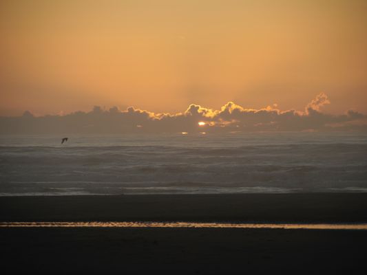 Beachside State Park by null