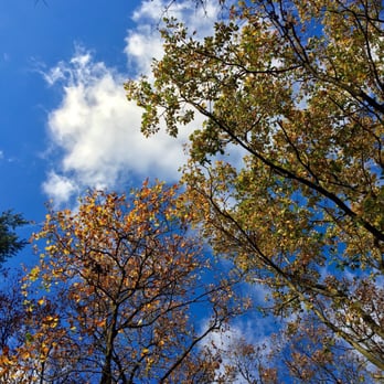Grunewald - Hiking Near Me - Berlin, BE