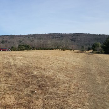 Bakerville Farm - View - Christmas Trees Near Me - New Hartford, Connecticut
