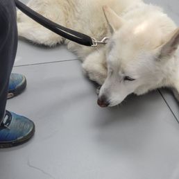 Mamba relaxing