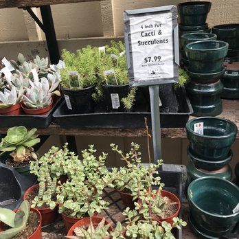 Sloat Garden Center - Nurseries & Gardening Near Me - Concord, California Sloat Garden Center - Nurseries & Gardening Near Me - Concord, California