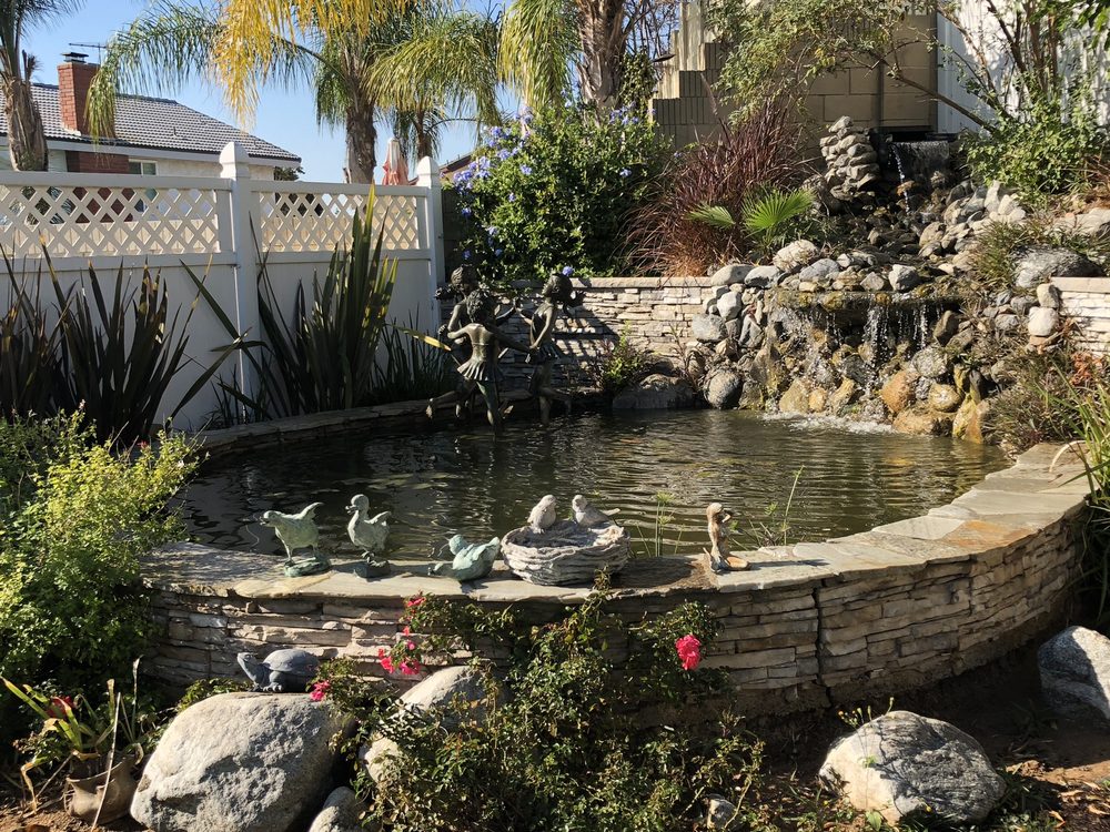 OCEAN VIEW AQUARIUM Updated September 2024 53 Photos Anaheim