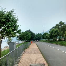 吐露港