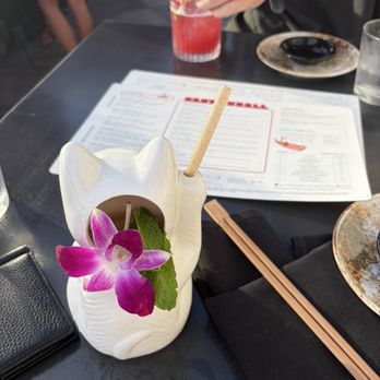 Cannonball - cat's meow - Sushi Bars Near Me - San Diego, California