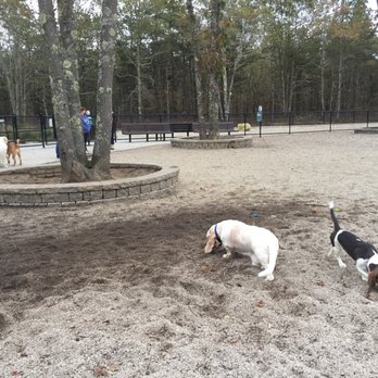 Mashpee Dog Park - WE-WEASE THE HOUNDS..... - Dog Parks Near Me - Mashpee, Massachusetts