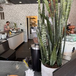 Gaslight Coffee Roasters