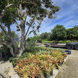 MCGREGOR GARDEN CENTER