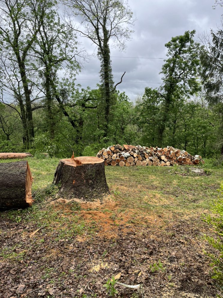 All Season's Handyman - tree service in Columbus, OH