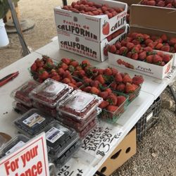 Mr. Produce