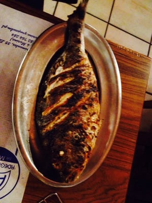 Adega da Marina by null