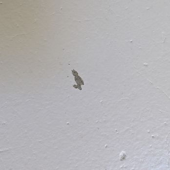 Target Painting - Chipping after less than a week on the porch where they painted a second coat too soon. - Painters Near Me - San Jose, California
