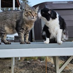 Waterford Veterinary Center