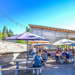 Ounces Taproom & Beer Garden - Sunny beer garden