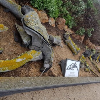 Piedras Blancas Light Station - Amazing humpback whale bones - Landmarks & Historical Buildings Near Me - San Simeon, California