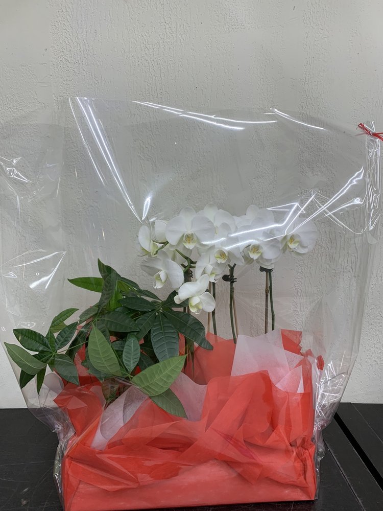 PARSONS FLORAL BAYSIDE 338 Photos & 40 Reviews 4744 Bell Blvd