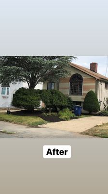 Reimagine your lawn! - With Mike & Son's Landscaping, you can see your lawn in a new light. Expert lawn maintenance, trimming, mulching, and more!