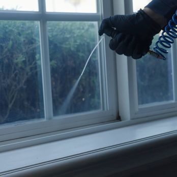 Bulwark Exterminating - Pest Control Near Me - Snowflake, Arizona