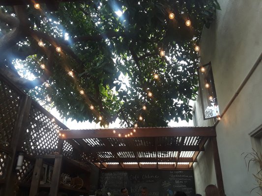 Cafe Ohlone by null