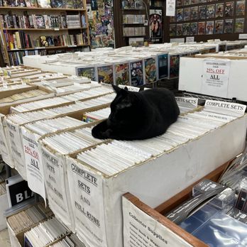 Dark Star Book Store - Dark Star employee at work - Used Bookstore Near Me - Yellow Springs, Ohio Dark Star Book Store - Dark Star employee at work - Used Bookstore Near Me - Yellow Springs, Ohio