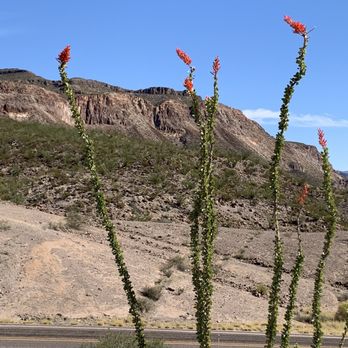 Big Bend Ranch State Park - Rafting/Kayaking Near Me - Presidio, Texas Big Bend Ranch State Park - Rafting/Kayaking Near Me - Presidio, Texas
