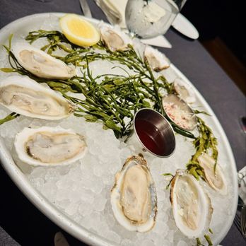 Navy Blue - Oysters - Seafood Near Me - Houston, Texas Navy Blue - Oysters - Seafood Near Me - Houston, Texas