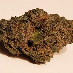 1Body1Life - Kush Mountains Strain Rythm