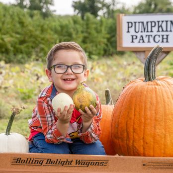 Bowman Orchards - Kids Activities Near Me - Rexford, New York