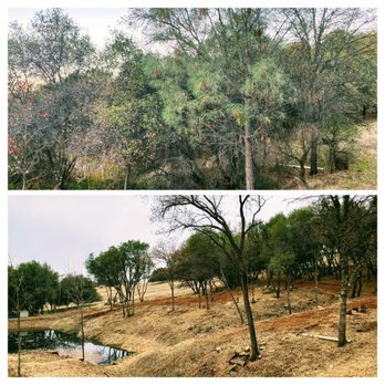 AR-17 Land & Tree - Landscaping Near Me - Colfax, California AR-17 Land & Tree - Landscaping Near Me - Colfax, California