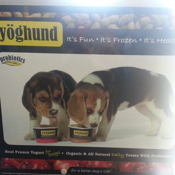 Pet Supply Warehouse - Frozen yogurt for your dog - Pet Stores Near Me - Anaheim Hills, California Pet Supply Warehouse - Frozen yogurt for your dog - Pet Stores Near Me - Anaheim Hills, California
