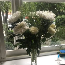 Freddie's Flowers - Out of the blue, from Freddy's Flowers.