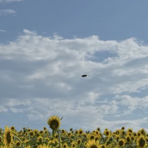 HOUSE OF RAEFORD FARMS - Updated February 2026 - 1354 Rutherford Rd ...