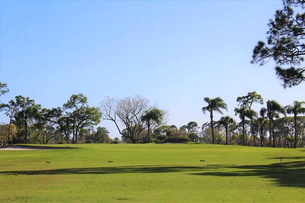 Palmetto-Pine Country Club by null