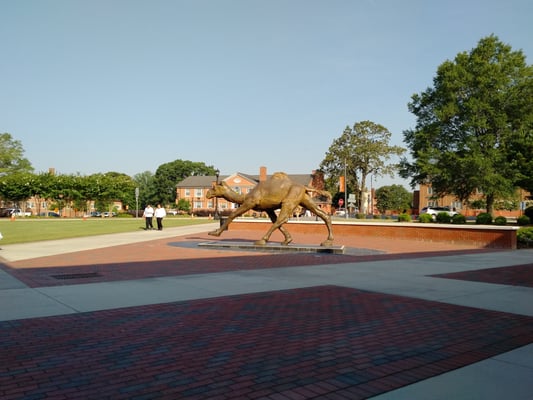 Campbell University by null