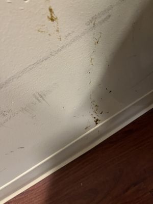 Valley View Health and Rehabilitation