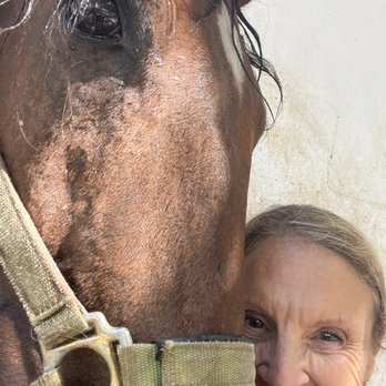 Centro Hipico Oliva - My horse for the day, Luther! - Horseback Riding Near Me - Oliva, V