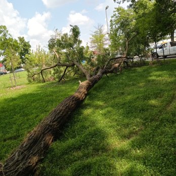 Marcell Landscaping and Tree Service - Tree service - Landscaping Near Me - Gaithersburg, Maryland Marcell Landscaping and Tree Service - Tree service - Landscaping Near Me - Gaithersburg, Maryland