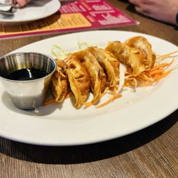 Chicken Potstickers Chicken Potstickers
