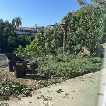 Alex's Natural Tree Care - Tree Services Near Me - Pomona, California