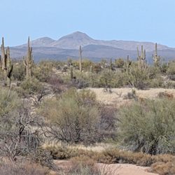Scene from the Fraesfield Trailhead