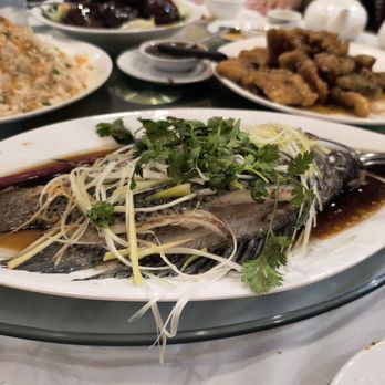 Golden Seafood Restaurant - Fish - Seafood Near Me - Vancouver, British Columbia