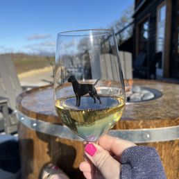 Wine, gas fireplace Wine, gas fireplace